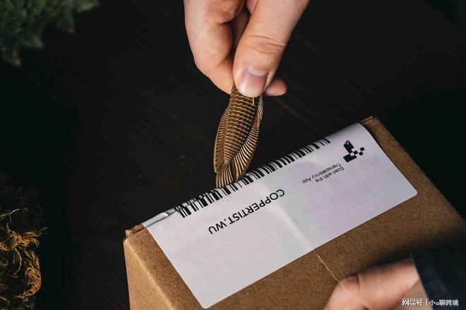 趣用品独立站给你更大的自由空间冰球突破平台平台管控太严?情(图2) 趣用品独立站给你更大的自由空间冰球突破平台平台管控太严?情(图2)